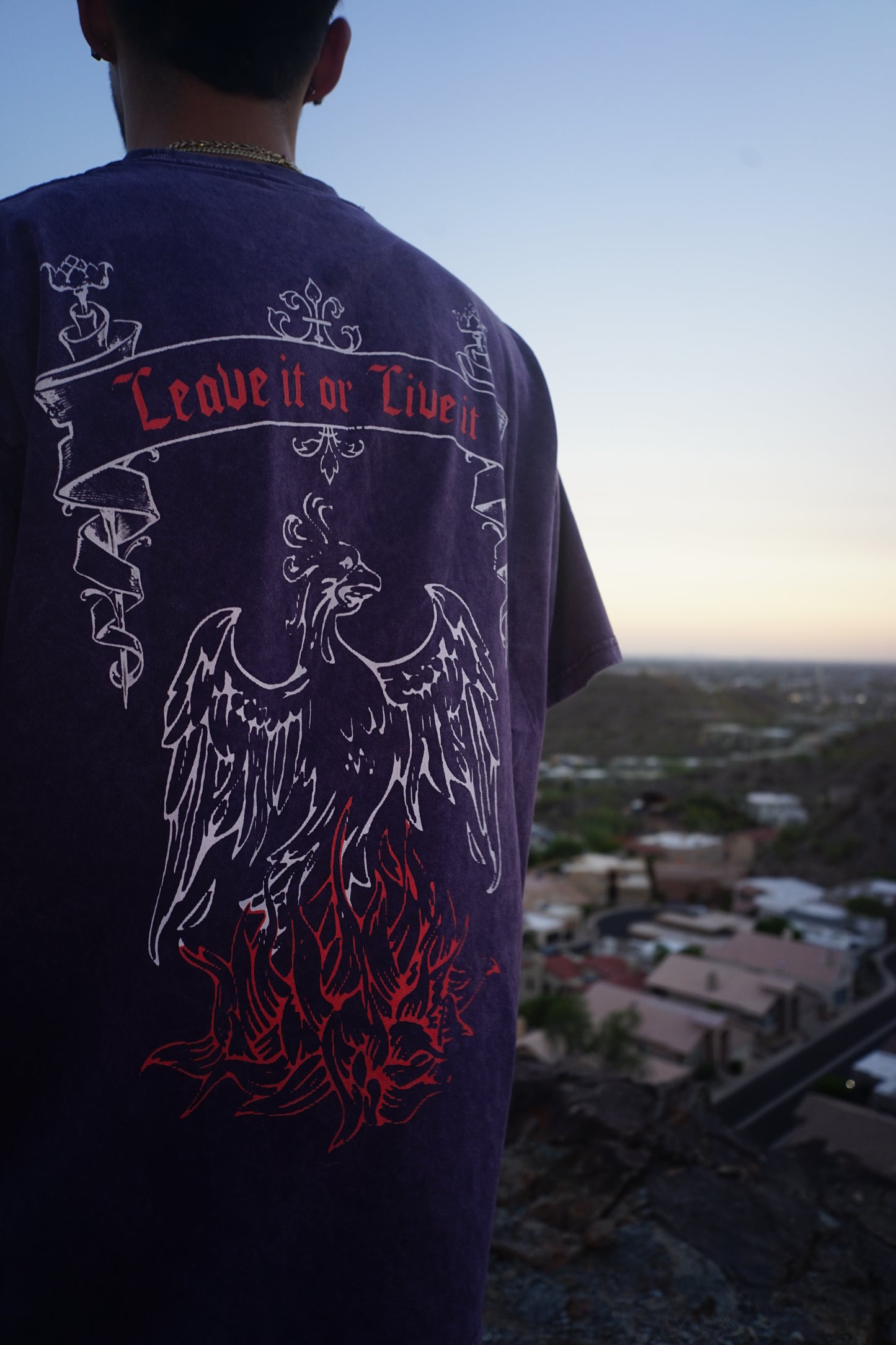 Leave it or Live it : Phoenix Tee